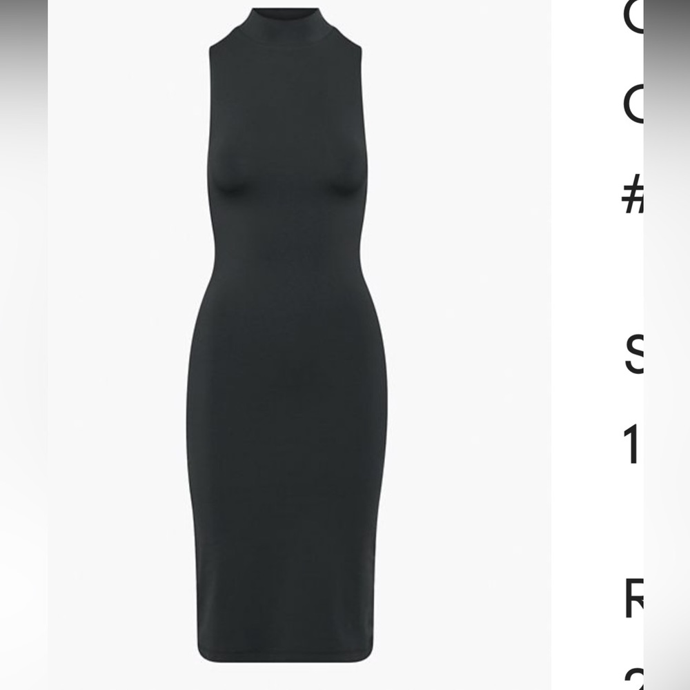 Aritzia Contour Mockneck Midi Dress